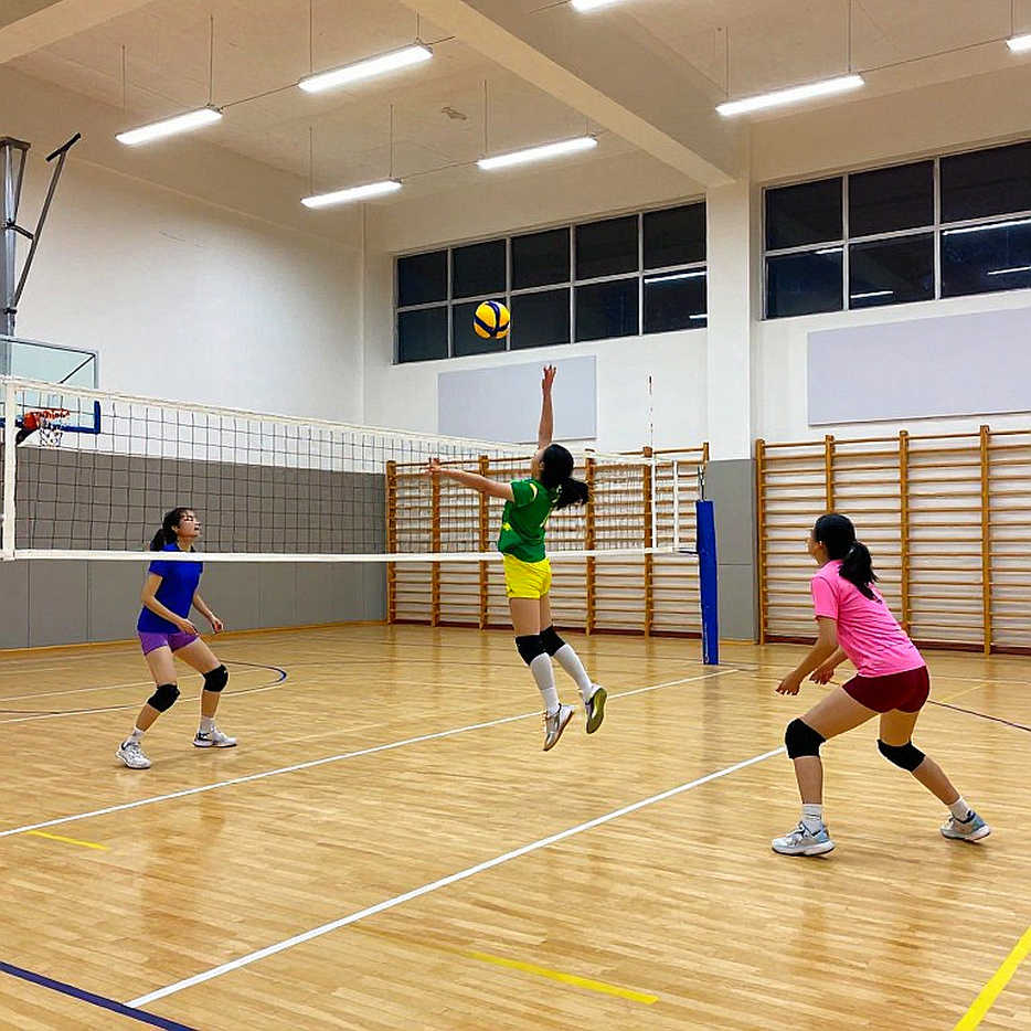 Women's Volleyball Pool A at the 2026 Asian Games: Japan, Indonesia, and What a Schedule Notice Never Says