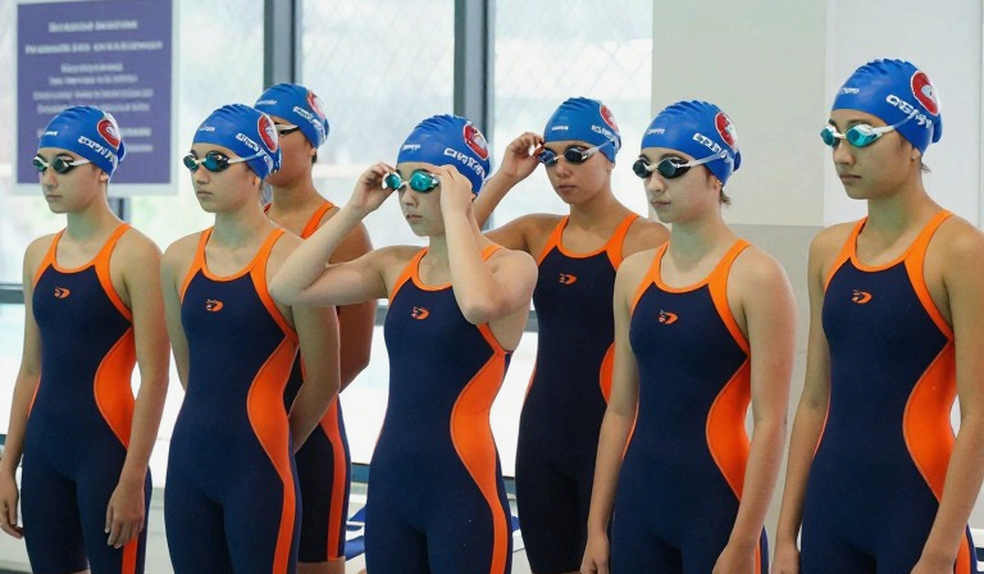 Vietnam Swimming Miracles: Magic or Unregressed Data Points?