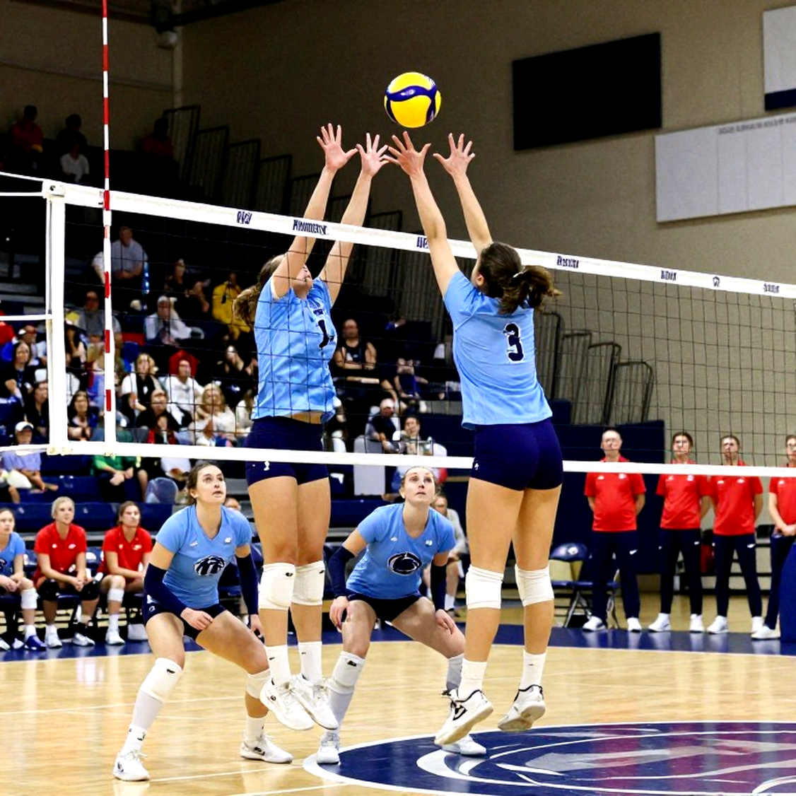 An Empty Report in the Arena: When Vietnamese Volleyball Data Hasn't Caught Up